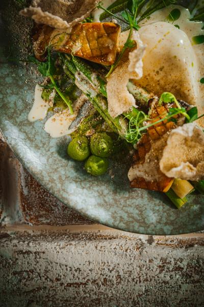 Culinary ARIA